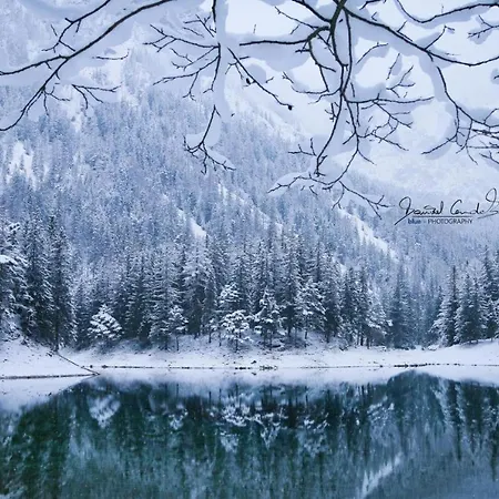 Da Vinci Lägenhet *